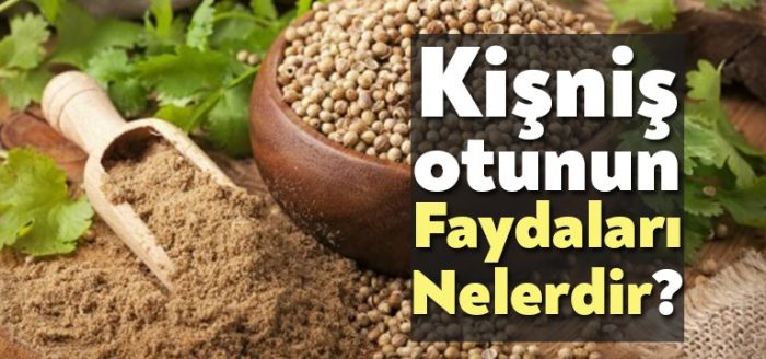 Ki Ni Otunun Faydalar Nelerdir