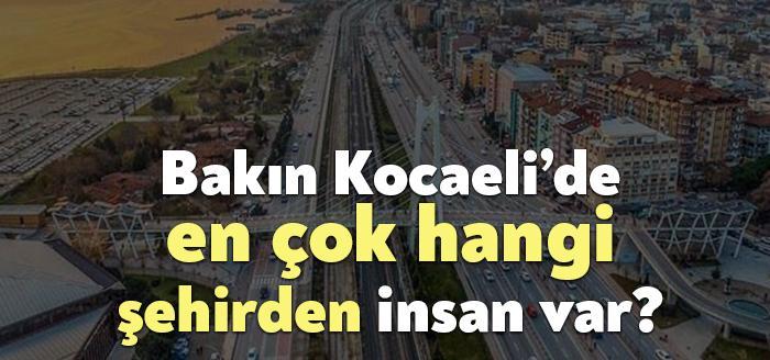 Bagimsiz Kocaeli Gazetesi Kocaeli Haber