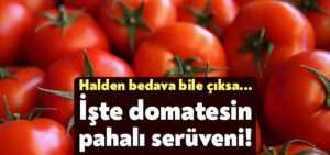 İşte domatesin pahalı serüveni!