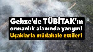 Gebze’de TÜBİTAK’ın ormanlık alanında yangın! Uçaklarla müdahale ettiler!